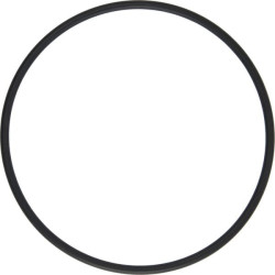 Bague LANDINI 359104X1