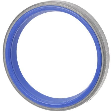 Bague SPICER DANA 001464060