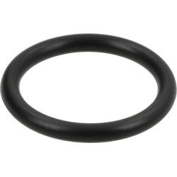 Bague SPICER DANA 7380700901