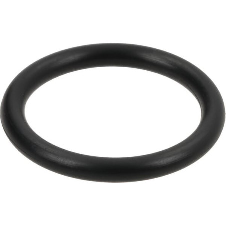 Bague SPICER DANA 7380700901