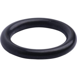 Bague SPICER DANA 3015022X1N