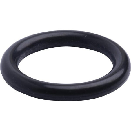 Bague SPICER DANA 3015022X1N