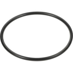 Bague SPICER DANA 3019943X1N