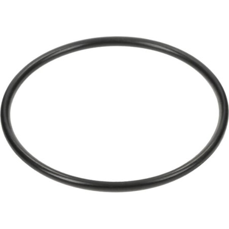 Bague SPICER DANA 3019943X1N