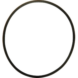 Bague d'étancheite AGRIA AGW70273