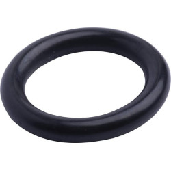 Bague d'étancheite SDF 215300280