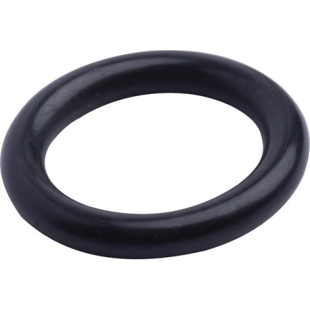 Bague d'étancheite SDF 215300280