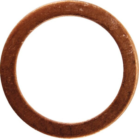 Bague d'étancheite CARRARO CI023268