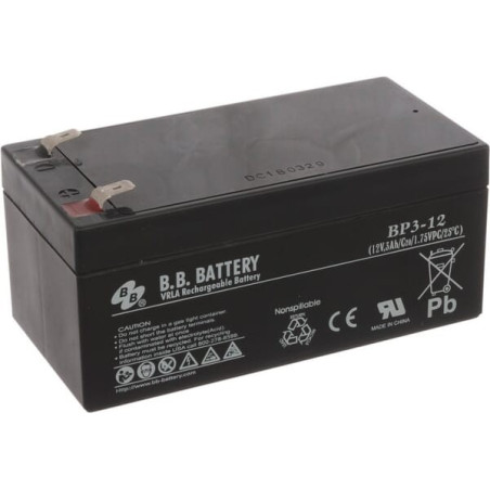Batterie VIKING 63404001100