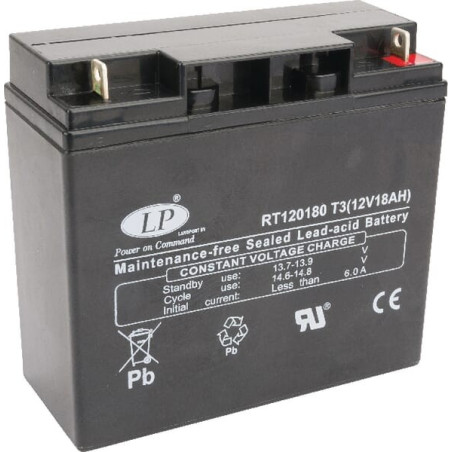 Batterie VIKING 61704001100