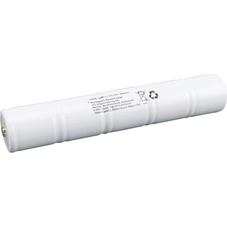 Batterie MAGLITE EM211747