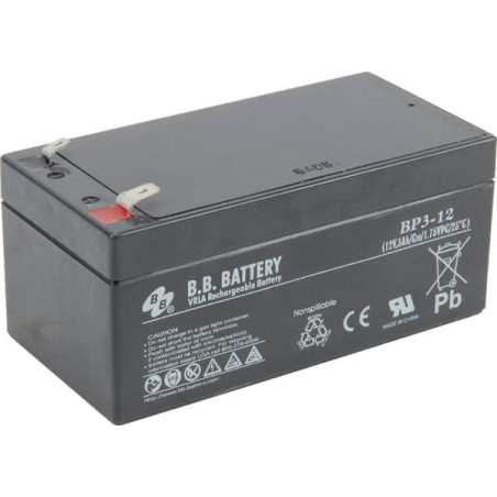 Batterie TORO 1068397
