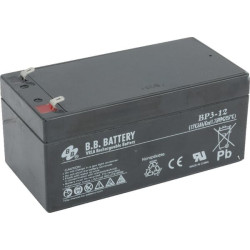 Batterie TORO 1063995