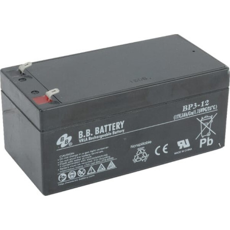 Batterie TORO 1063995