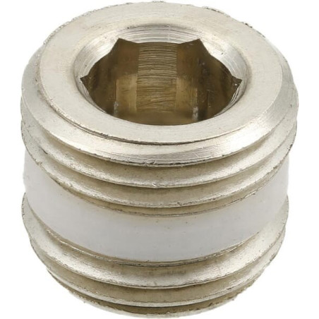 Bouchon CAMOZZI S261518