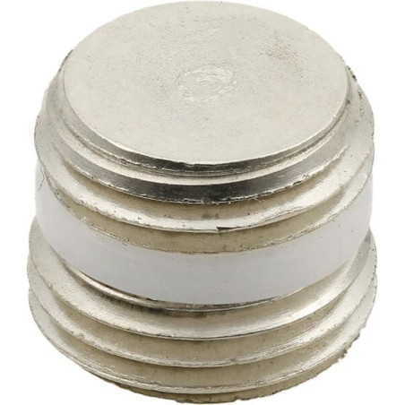 Bouchon CAMOZZI S261518