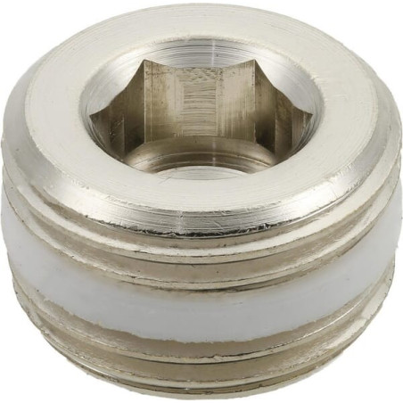 Bouchon CAMOZZI S261538