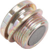 Bouchon d'aspiration MANITOU MA702418