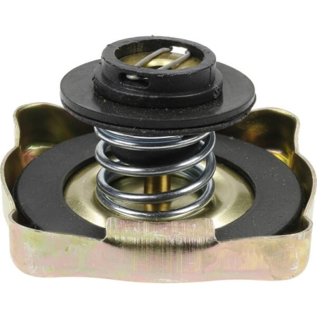 Bouchon de radiateur UNIVERSEL RC15001N