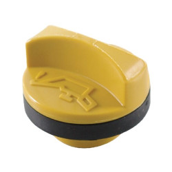 Bouchon d'huile BRIGGS ET STRATTON 809500
