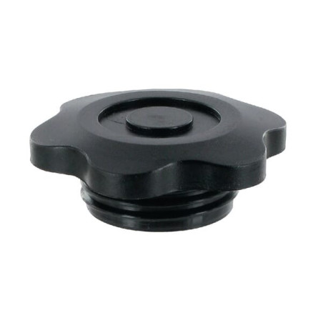 Bouchon d'huile CNH 142000150002