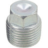 Bouchon d'obturation SPICER DANA 000392735X1