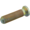 Boulon MASCHIO M36100342R