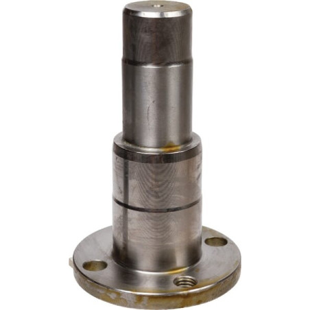 Boulon CARRARO CI141903