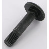 Boulon RABE 22044908