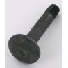 Boulon RABE 22044910