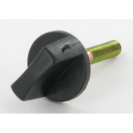 Bouton de filtre BRIGGS ET STRATTON 710113