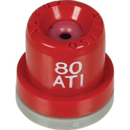 Buse ALBUZ ATI8004