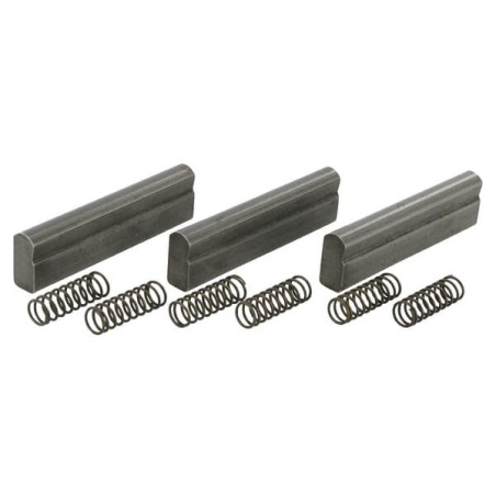 Came et ressort BONDIOLI/6PAVESI 4210G0001R03