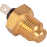 Capteur GOLDONI 06350499