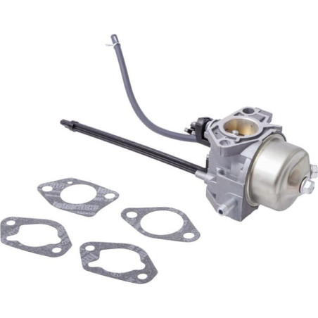 Carburateur BRIGGS ET STRATTON 799802