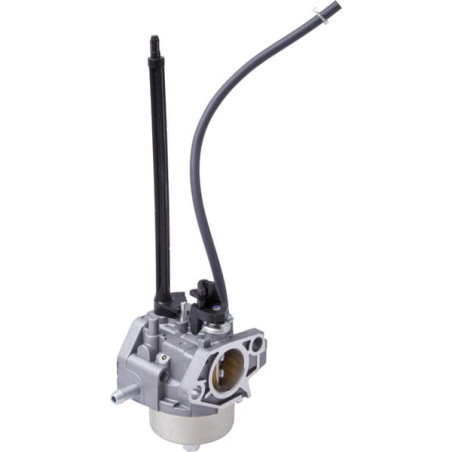 Carburateur BRIGGS ET STRATTON 84005069
