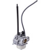 Carburateur BRIGGS ET STRATTON 84005069