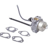 Carburateur BRIGGS ET STRATTON 84005069