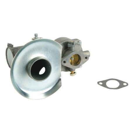 Carburateur BRIGGS ET STRATTON 391065
