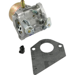 Carburateur BRIGGS ET STRATTON 698171