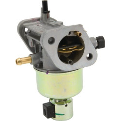 Carburateur KAWASAKI 150040818