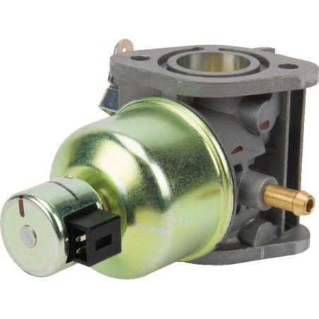 Carburateur KAWASAKI 150040818