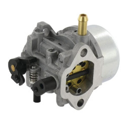 Carburateur KAWASAKI 150040993