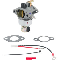 Carburateur KOHLER 1285392S