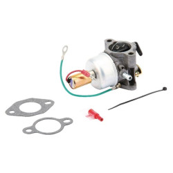 Carburateur KOHLER 12853118S