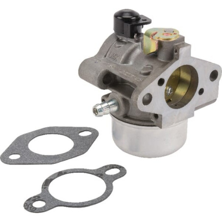 Carburateur KOHLER 12853169S