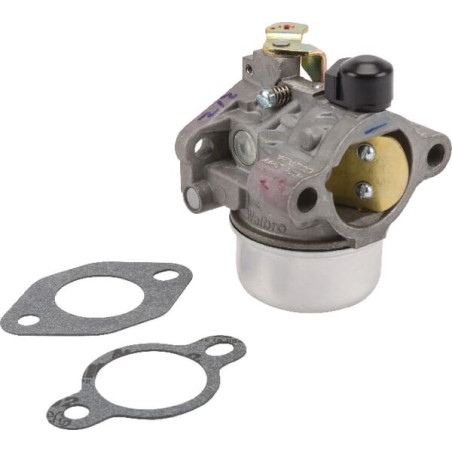 Carburateur KOHLER 12853169S