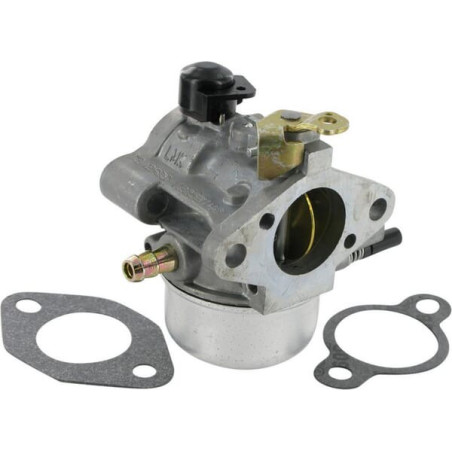 Carburateur KOHLER 12853140S