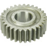 Carter CARRARO CI117180