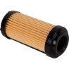 Cartouche GOLDONI 00034706
